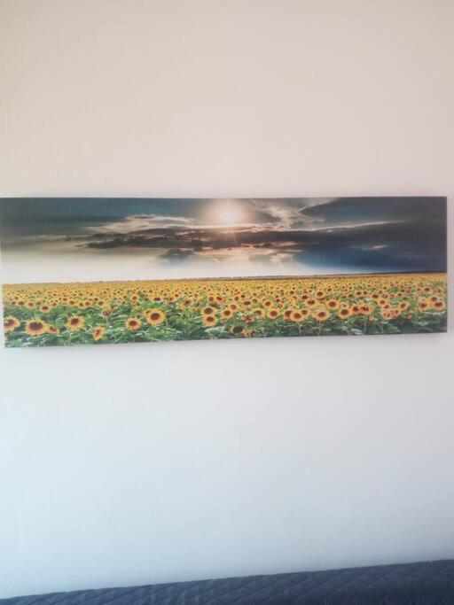 شقة Il Girasole كالياري المظهر الخارجي الصورة